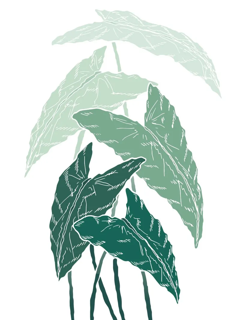 branch leaf gradient pellicola backlit da juli