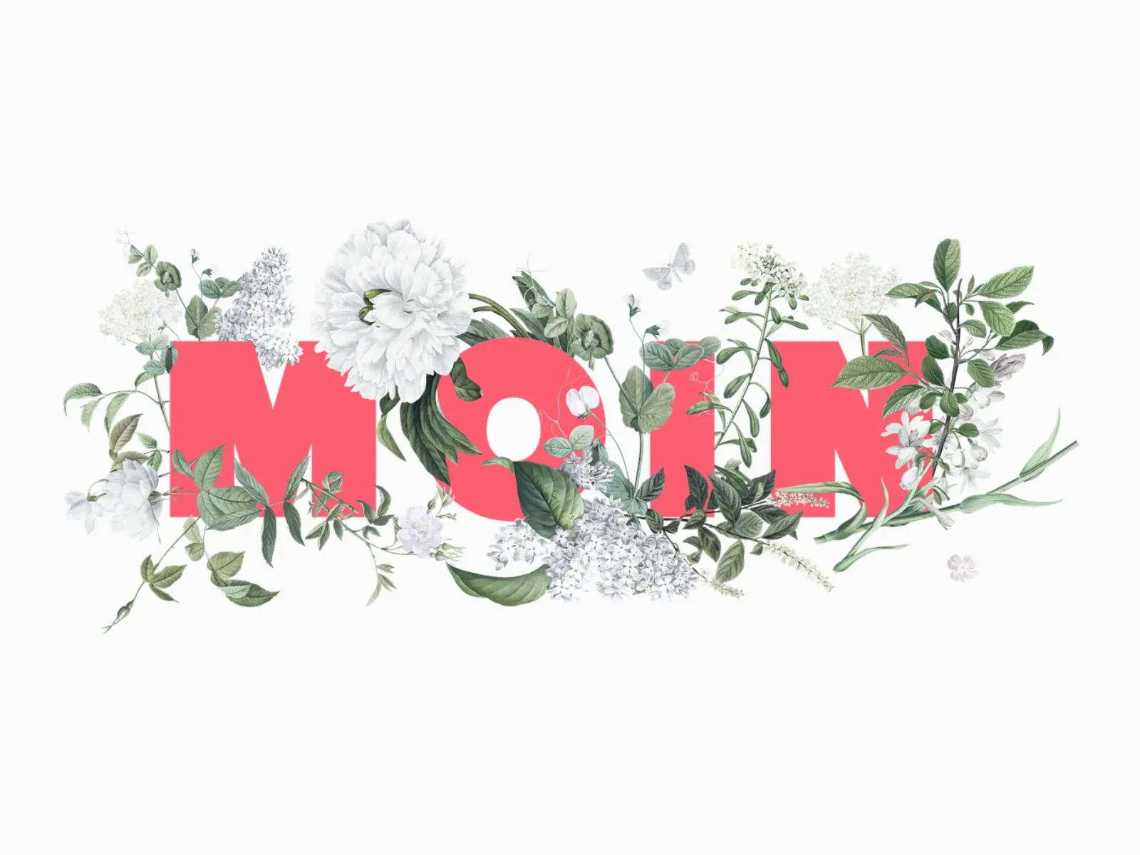 Moin Fiori e insetti Rosso Bianco carta hahnemühle da Studio Frances M