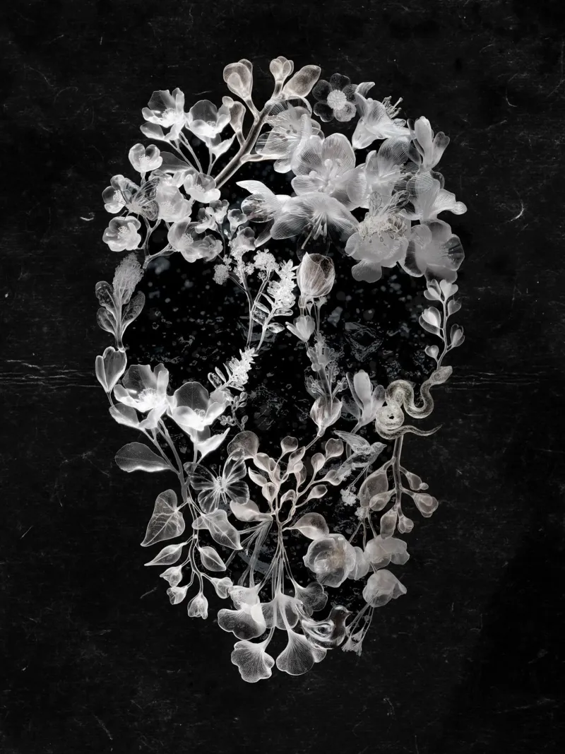 Glass Skull pellicola backlit da Ali Gulec