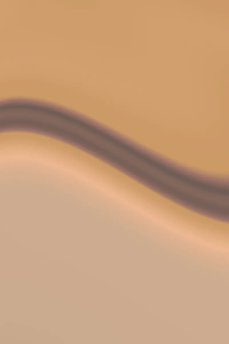VANILLA SPICE alluminio dibond da ÂME LIBRE STUDIO