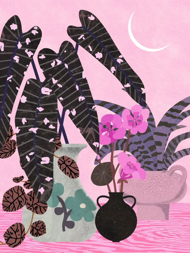 Crepuscolo botanico rosa plexiglass da Asha Designs