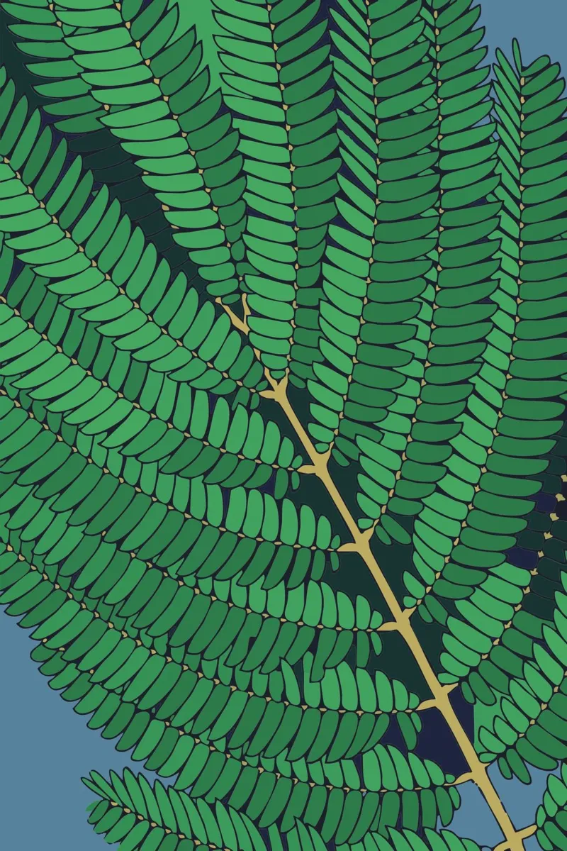 branch green pellicola backlit da Monel