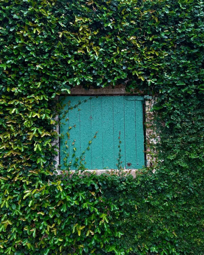 window in wall of leaf alluminio dibond da feny