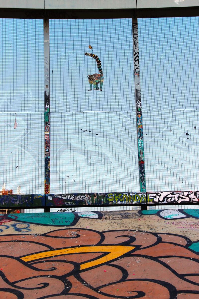 BruxellesSkate3 poster de DragonFly