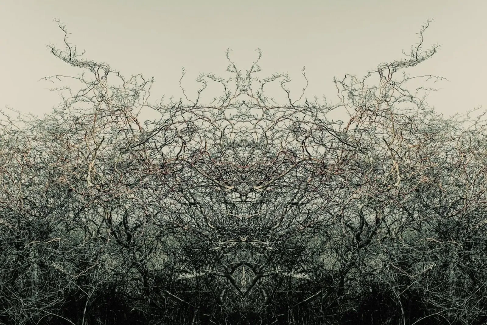 Nature´s soul poster with plastic frame by Metron