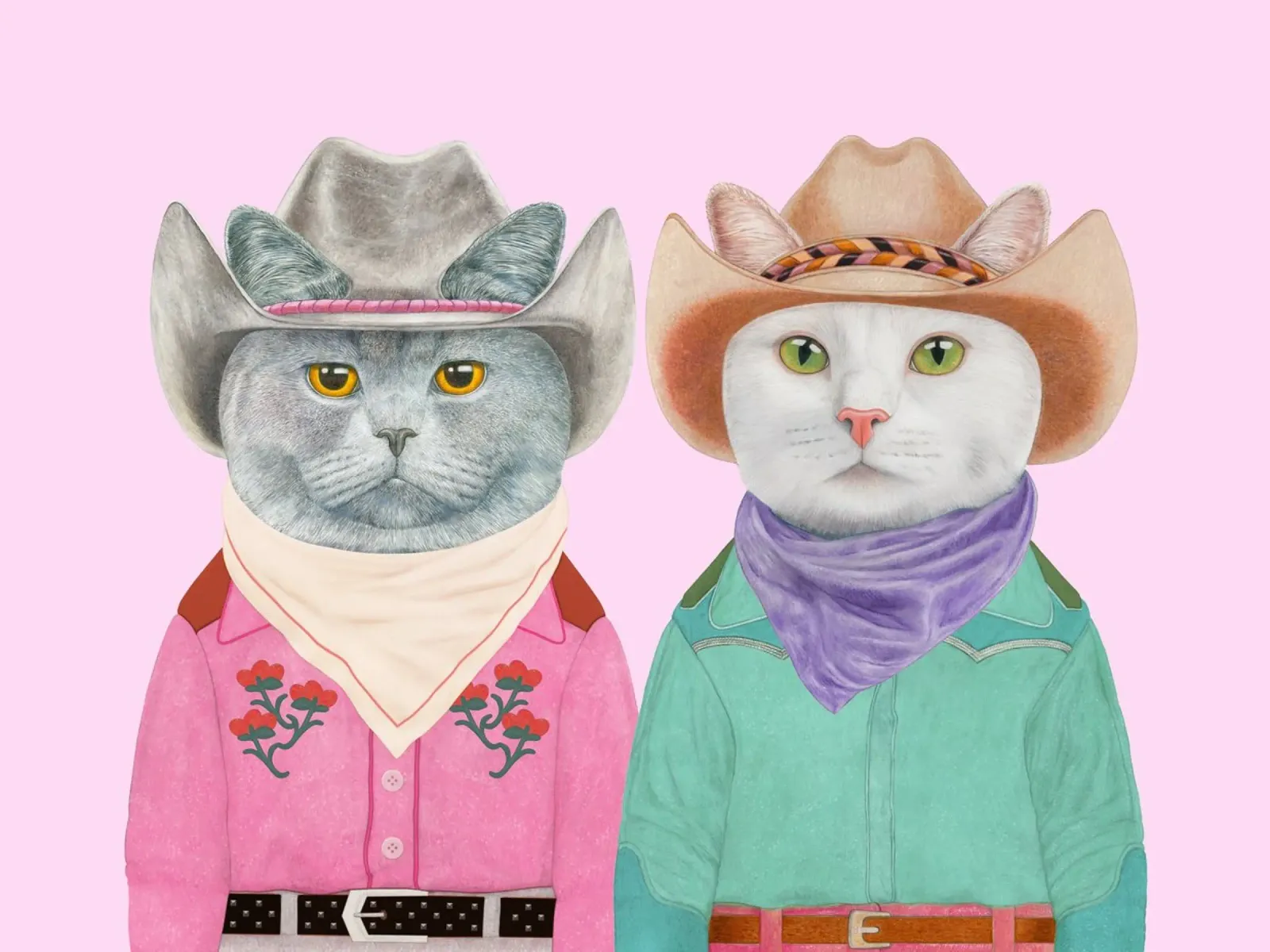 Gatti Rodeo - gatti bianchi e grigi plexiglass da Animal Crew