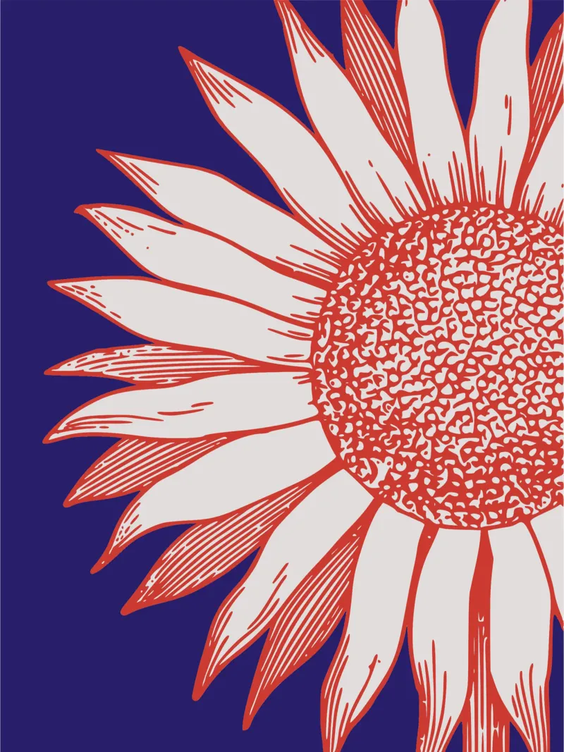 Girasole 02 pellicola backlit da Little Dean