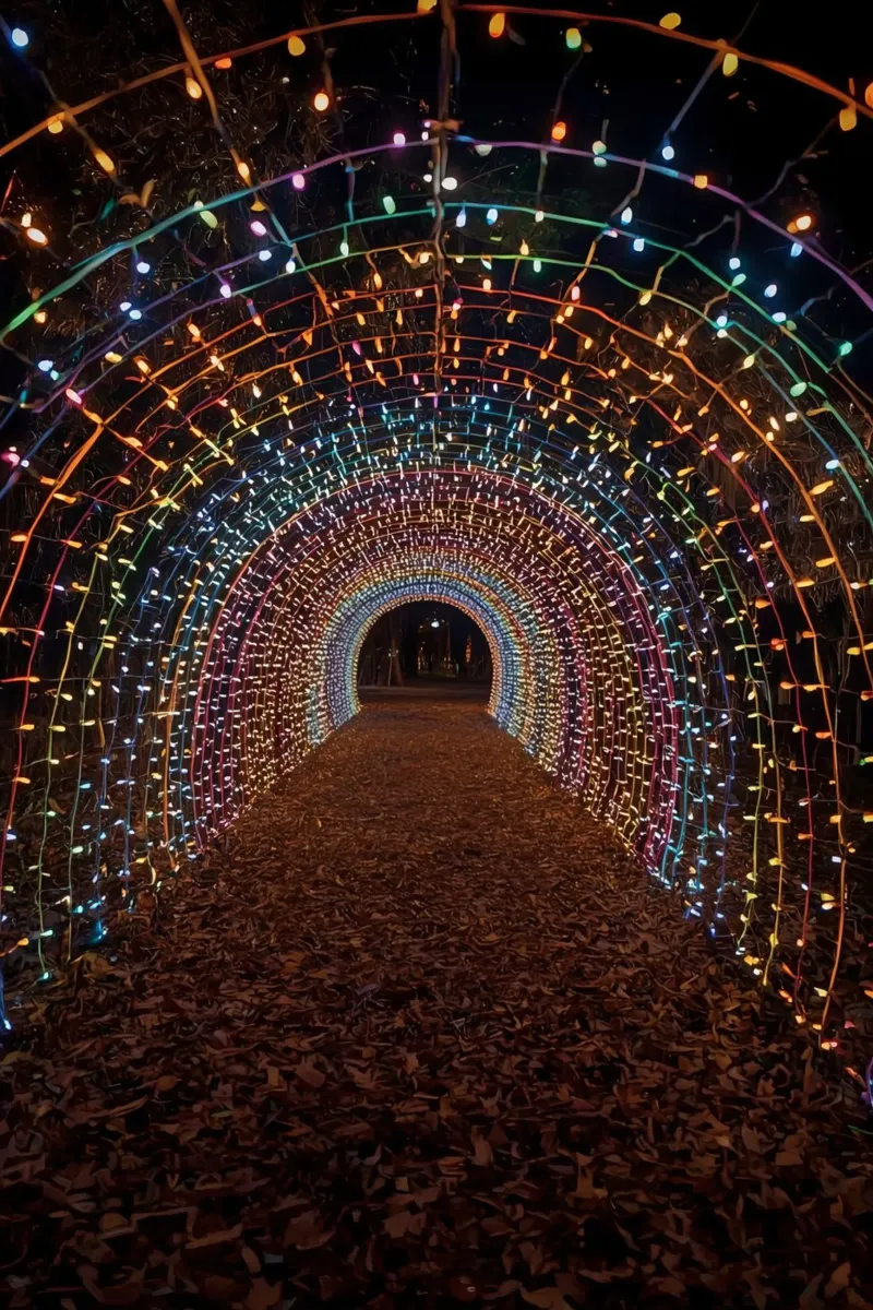 Tunnel ad arco con luci colorate e foglie cadute pellicola backlit da DesignDoodle