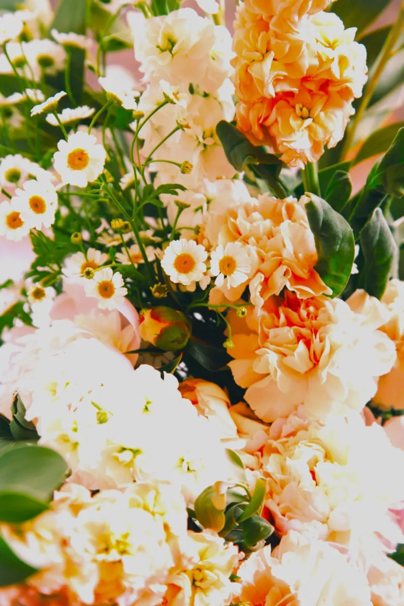I petali danno colore, diffondono amore alluminio dibond da Nature's Palette