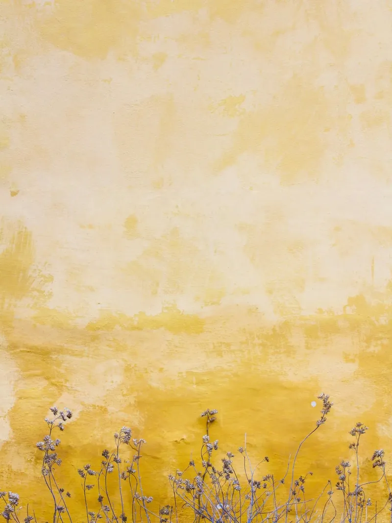 tall grass in yellow shade pellicola backlit da feny
