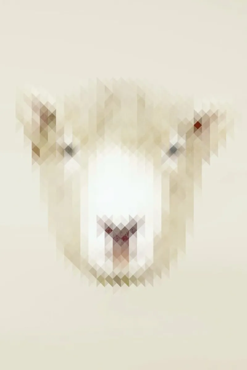 Sheep carta hahnemühle da Nur Mut