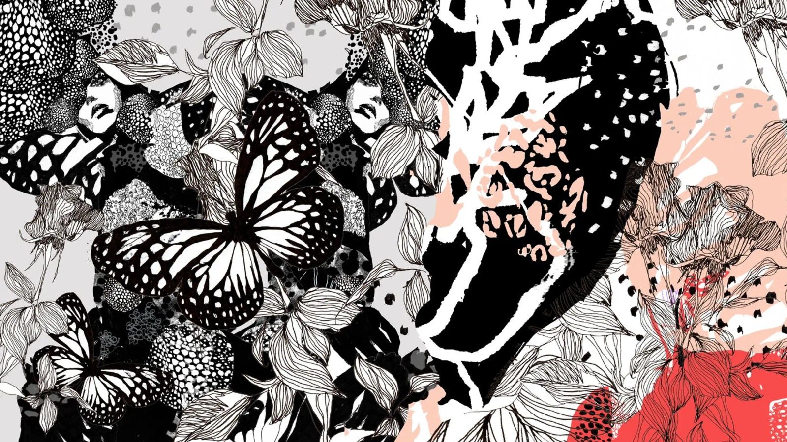 butterfly poster by k i m