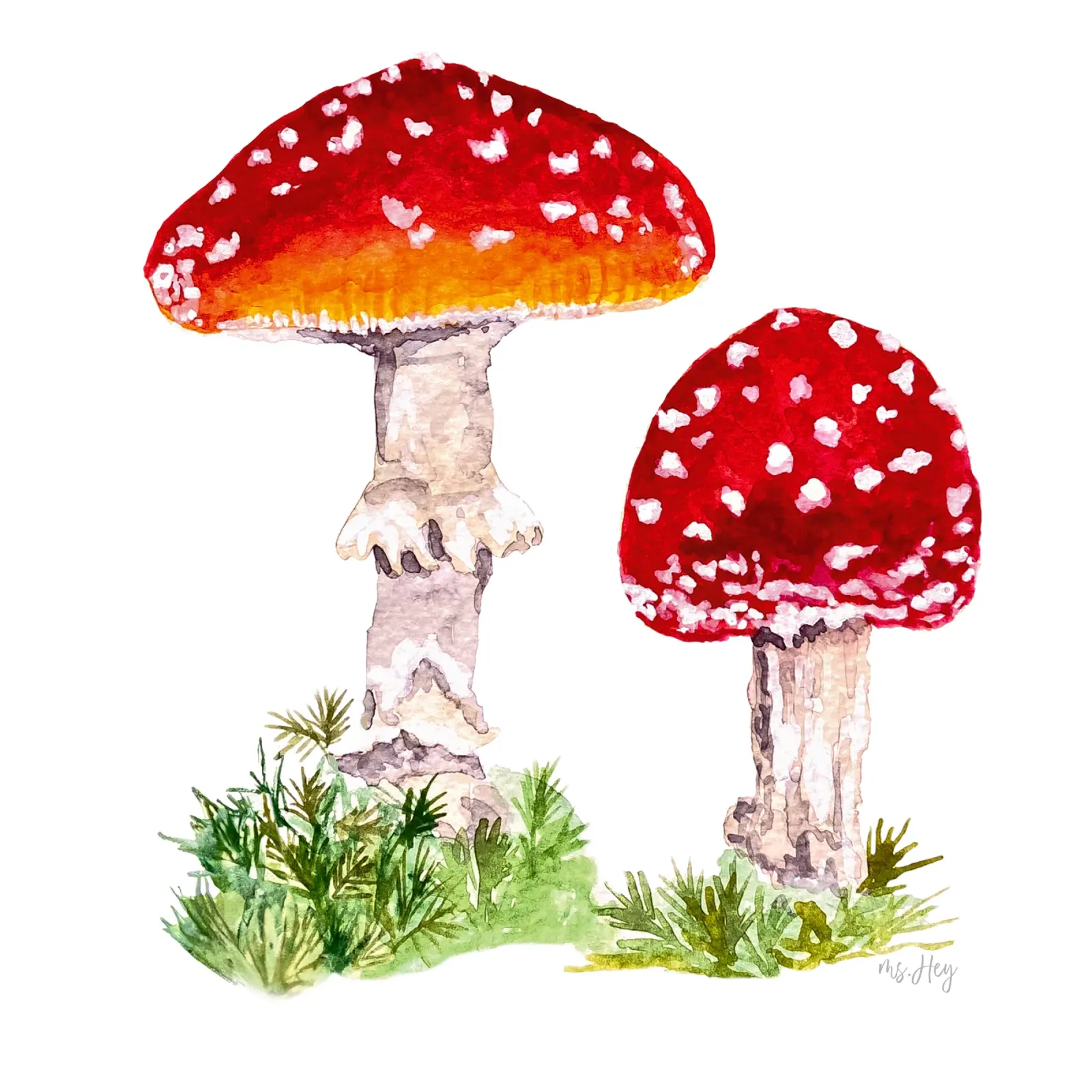 Illustrazione ad acquerello : Rospi nella foresta pellicola backlit da ms.Hey! textildesign