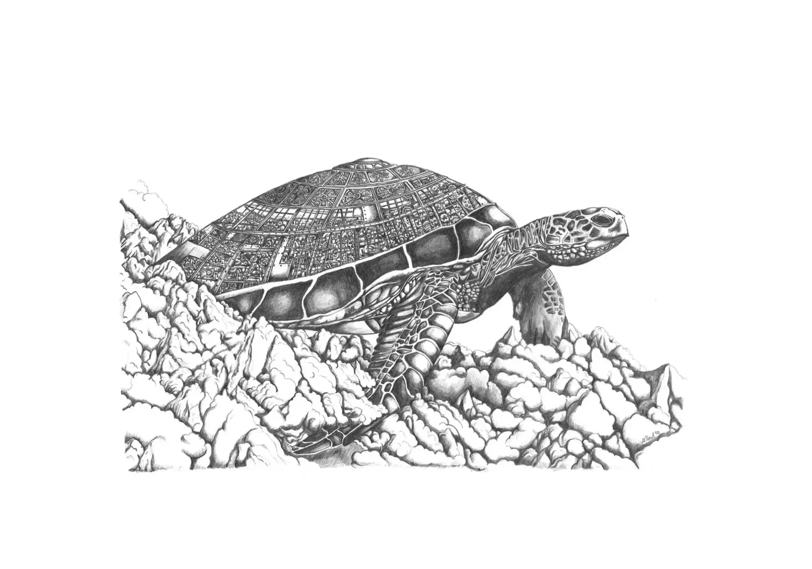 Turtlesphere carta hahnemühle da picazzy