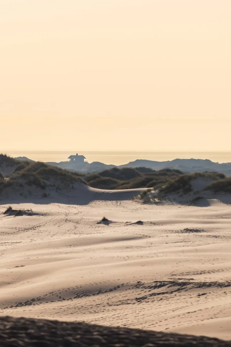 House in The Dunes alluminio dibond da Mareike Böhmer Photography