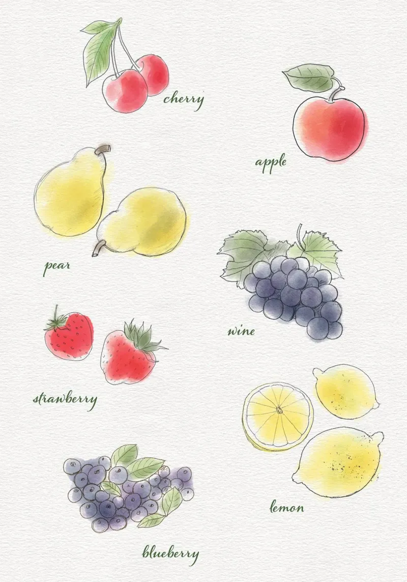Frutta plexiglass da Farbwelten