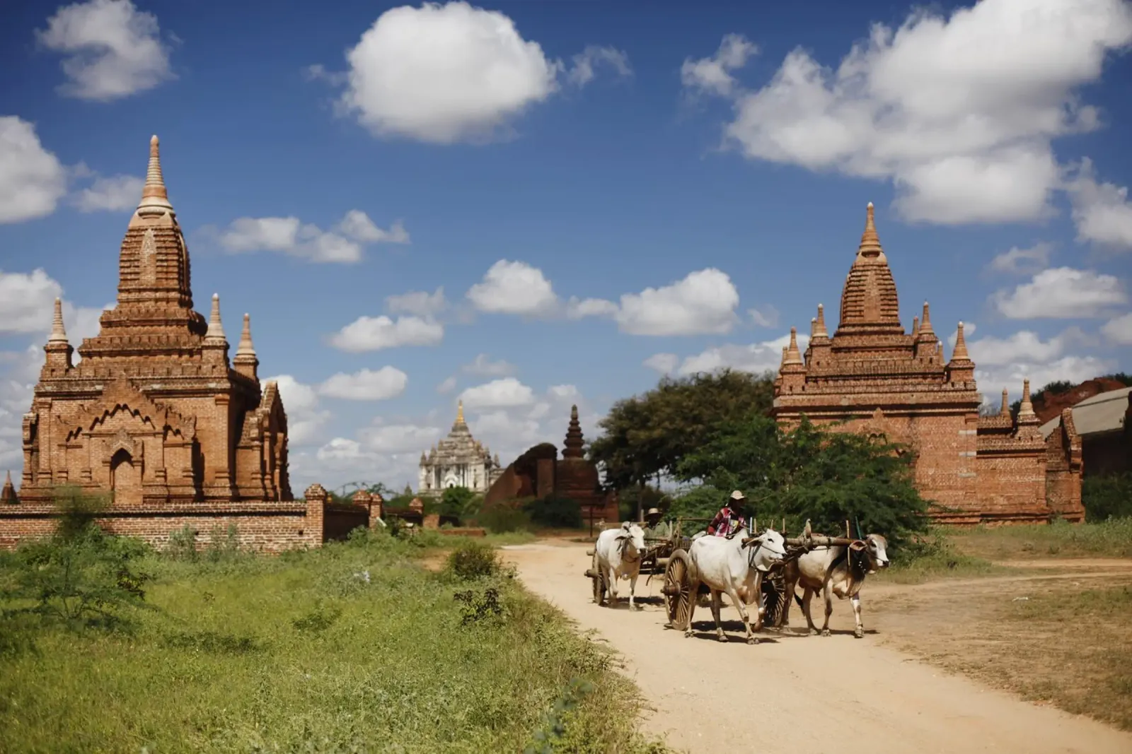 Bagan, complesso di templi del Myanmar carta hahnemühle da Simon Koy