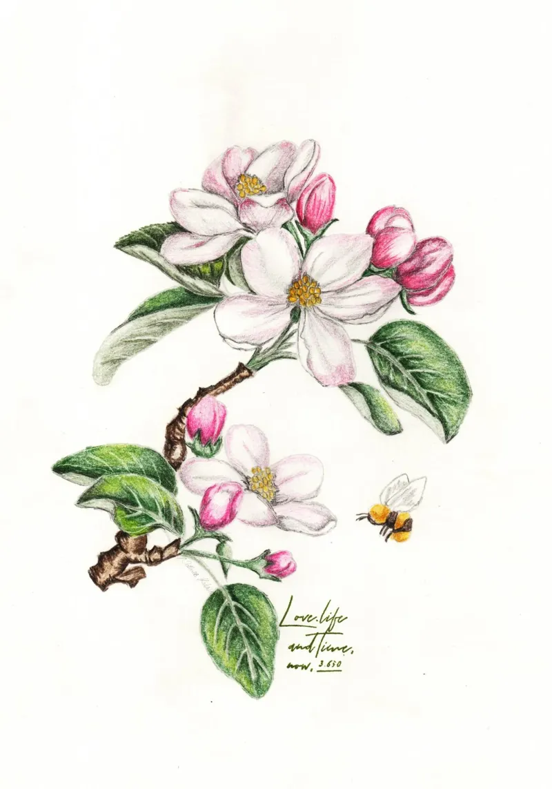 apple blossom Poster mit Aluminium Rahmen von Nathys_illustration