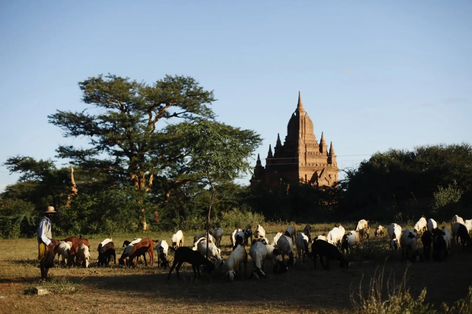 Myanmar, complesso di templi di Bagan carta hahnemühle da Simon Koy
