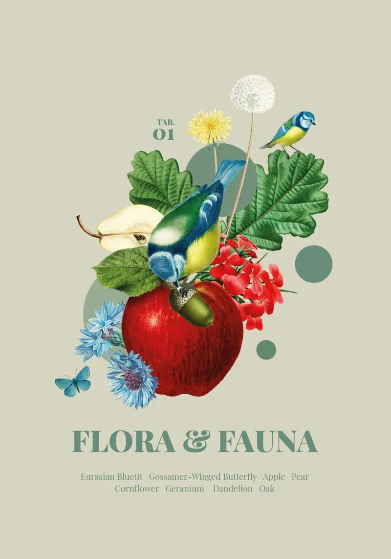 Flora e fauna con tette blu poster con telaio in legno da avisetflos