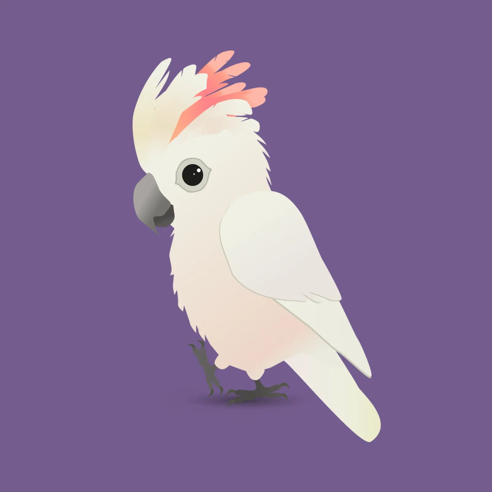 Cacatua a cresta di salmone molto carino pellicola backlit da BwiseLizzy