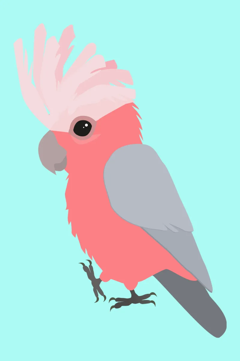 Cacatua Galah pellicola backlit da BwiseLizzy