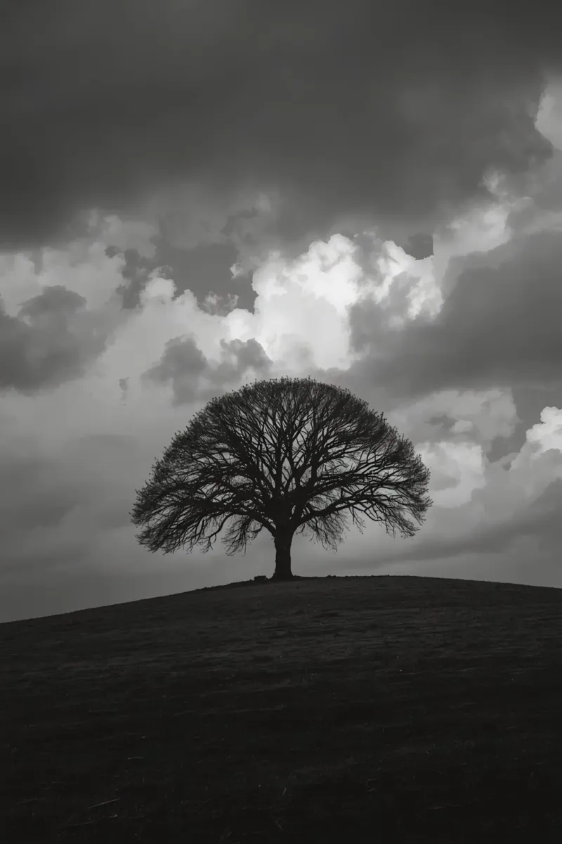 Árbol caducifolio en una colina cubierta de hierba bajo un cielo nublado metacrilato de DesignDoodle