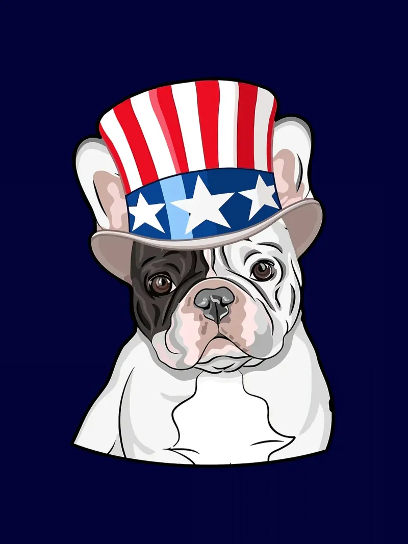 Bulldog francese con cappello patriottico carta hahnemühle da Wesley J Newsome