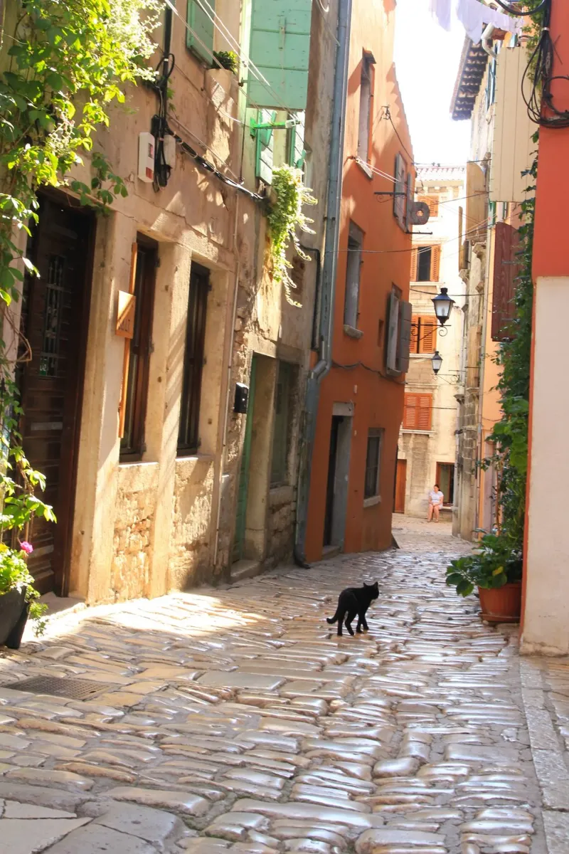 Strada in Croazia carta hahnemühle da eyes & tries