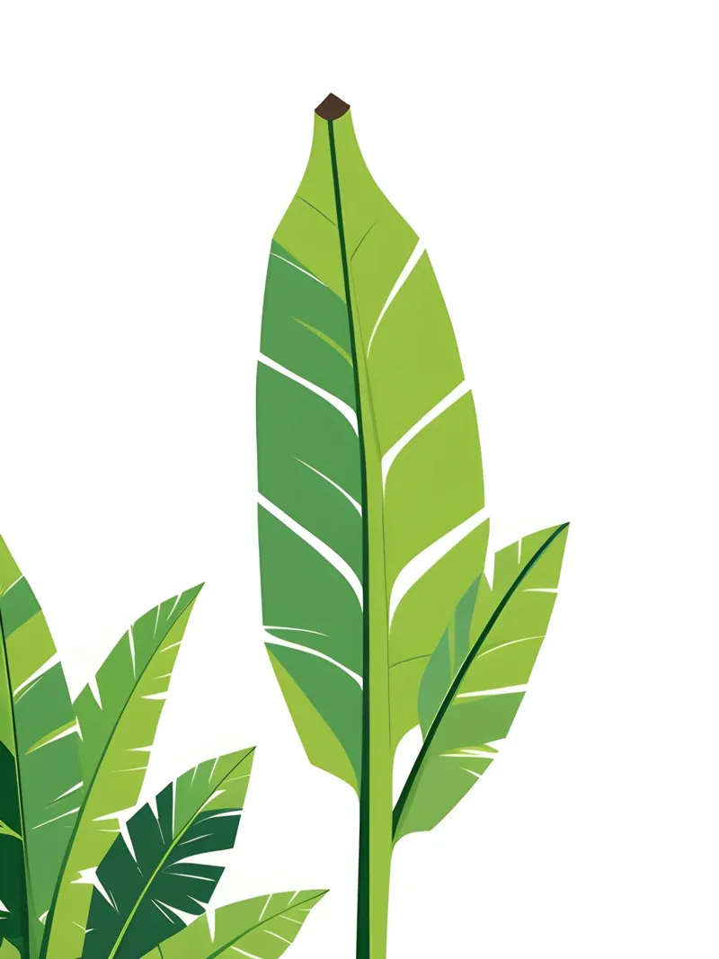 Section of banana leaf shape canvas by Botanical Gallery