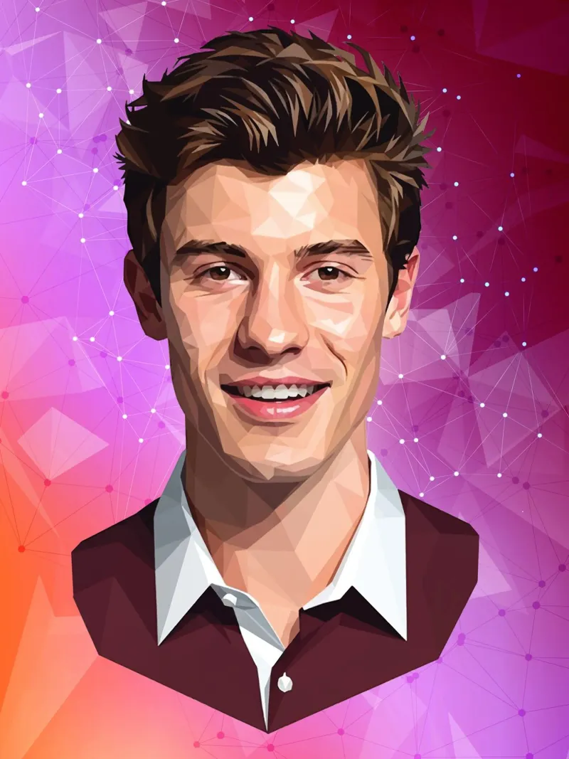 Shawn Mendes Lowpoly pellicola backlit da Low Profile