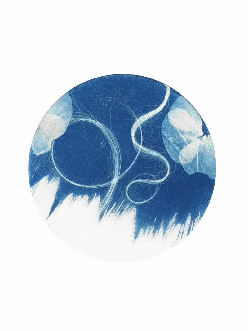 Cyanotype#1 carta hahnemühle da Inge Hauser Illustration