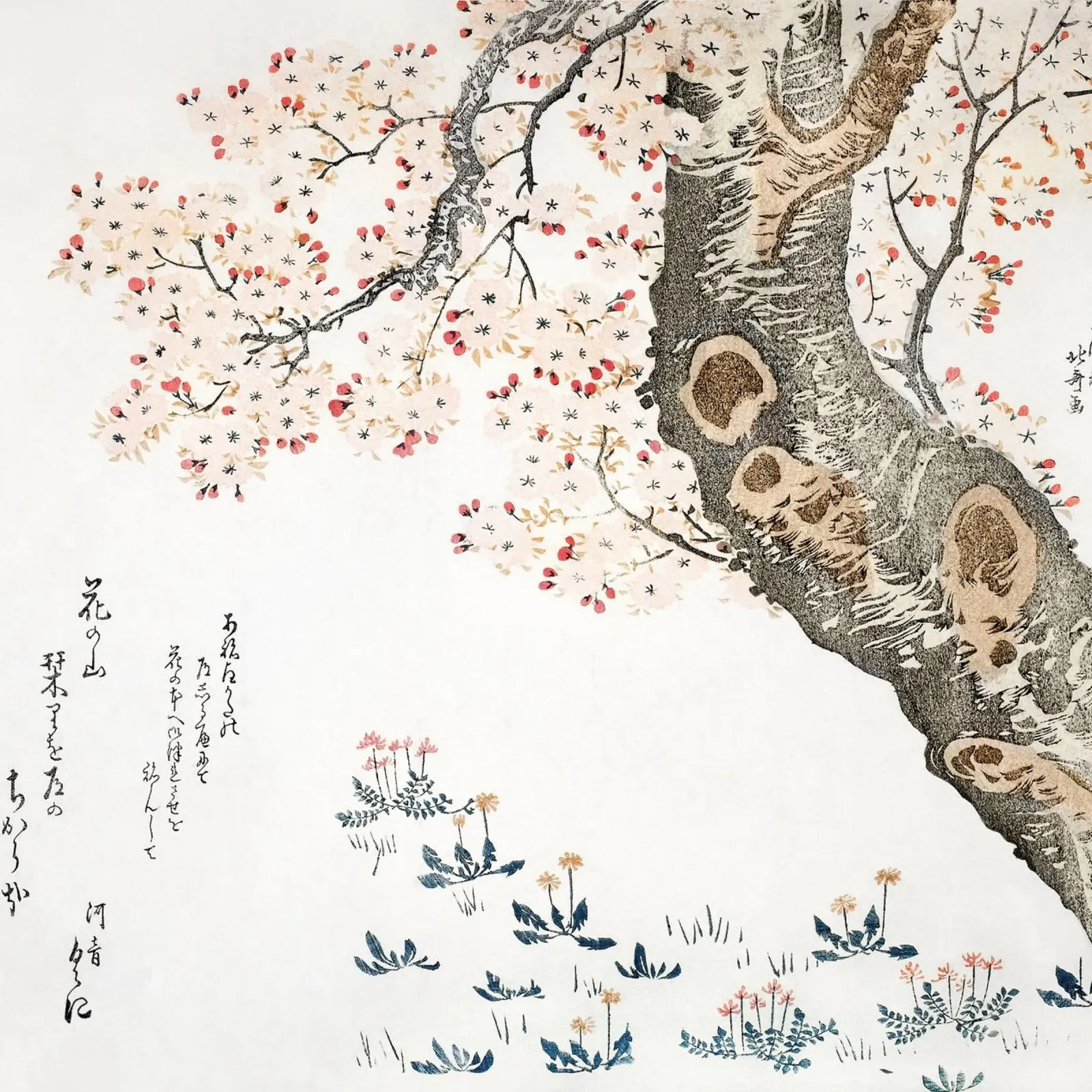 cherry tree carta hahnemühle da vintageshop