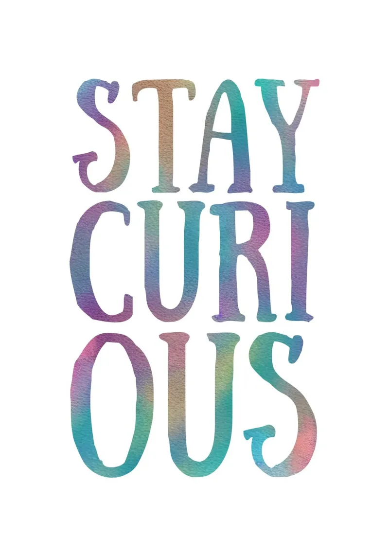 Stay curious carta hahnemühle da PinkCandyWalls