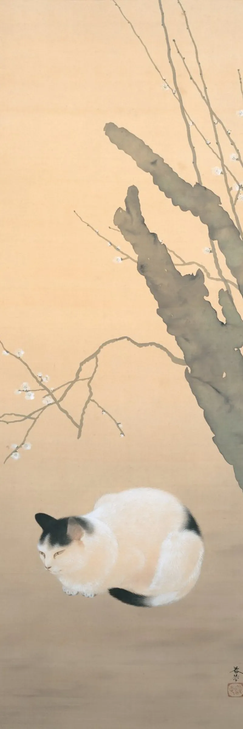 Gatto e fiori di prugno di Hayami Gyoshū carta hahnemühle da Jolie Prints