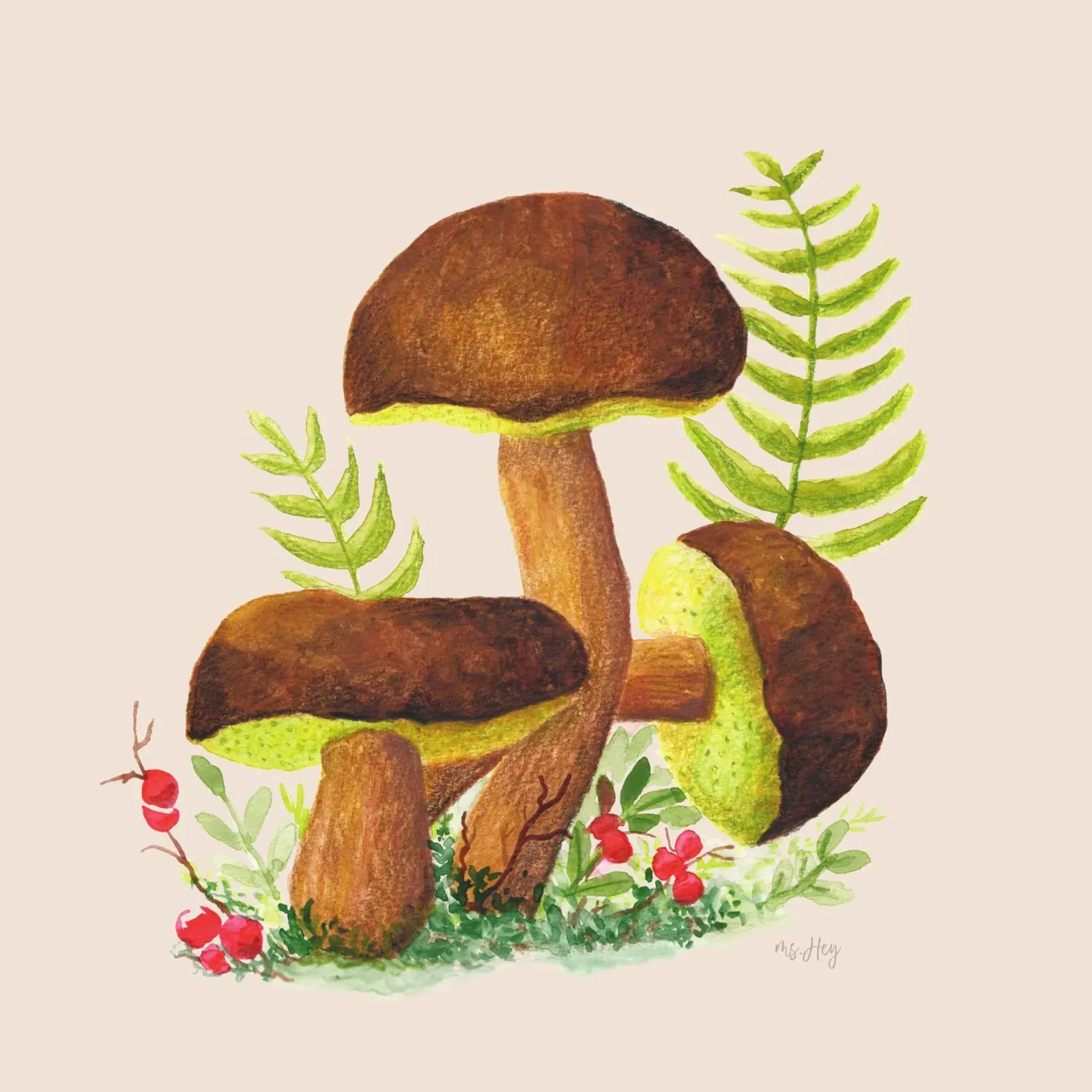 Chestnut mushroom , Brown mushrooms - Watercolour illustration poster with plastic frame by ms.Hey! textildesign