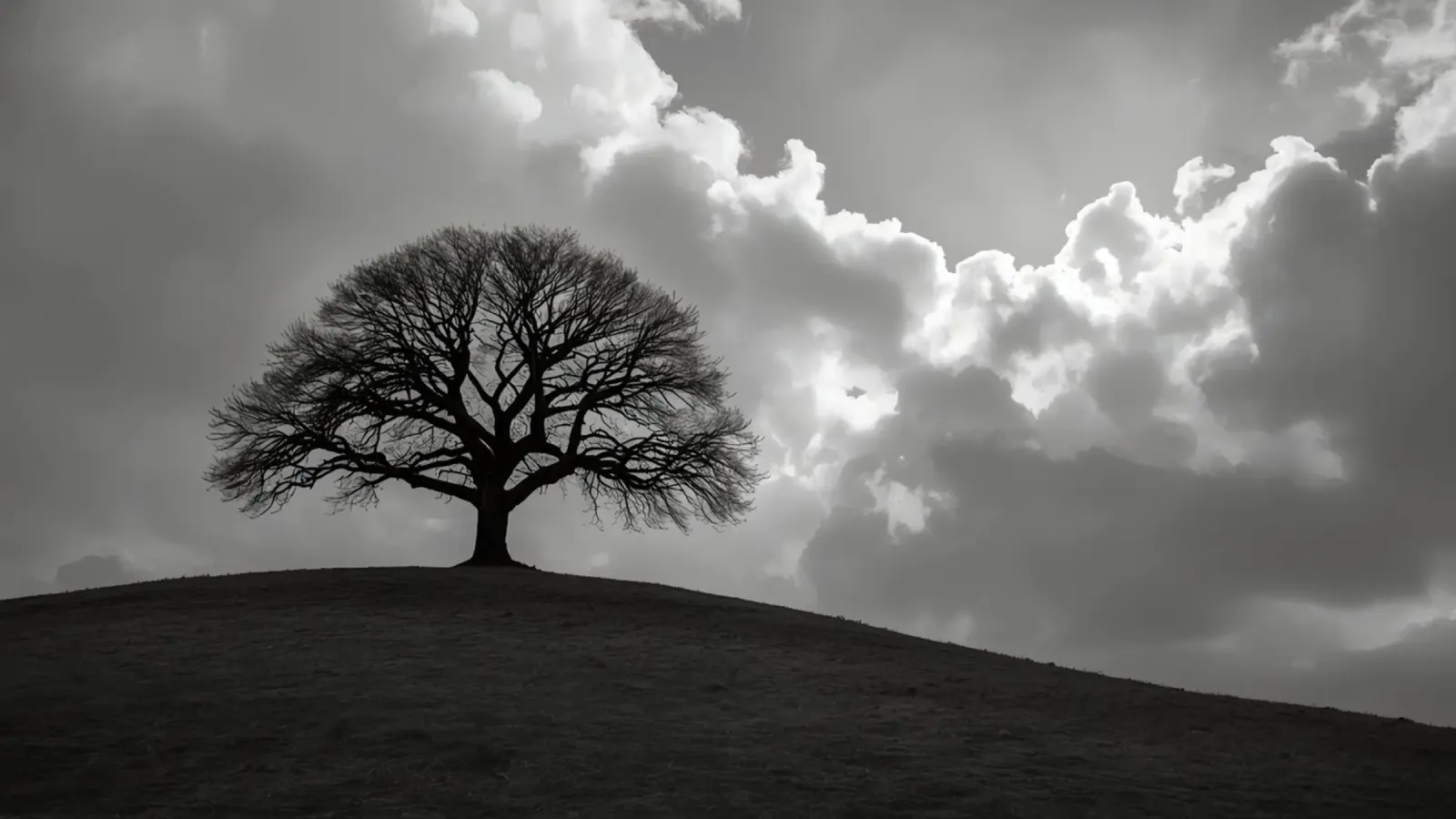 Sagoma di un albero spoglio su una collina contro un cielo nuvoloso carta hahnemühle da DesignDoodle