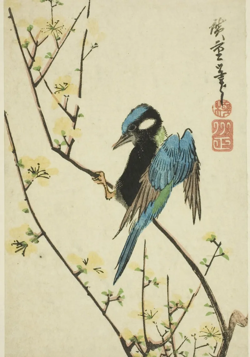 Java sparrow on cherry branch aluminio dibond de vintageshop