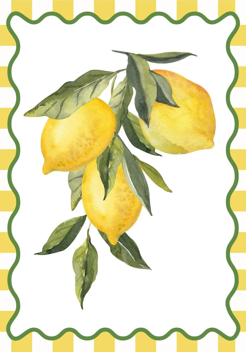 Cucina fresca di design agli agrumi pellicola backlit da pdigitalprints