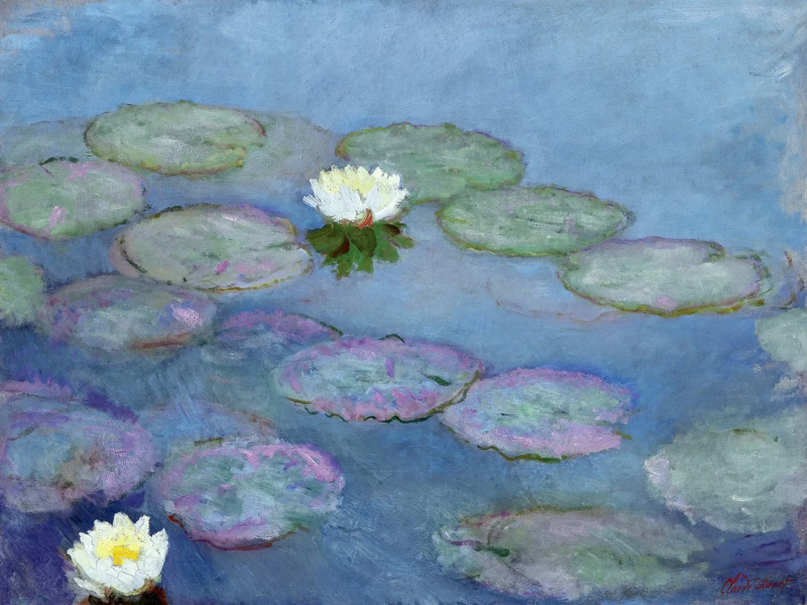 Nymphéas 1897-1899 - Claude Monet alluminio dibond da apoloprints