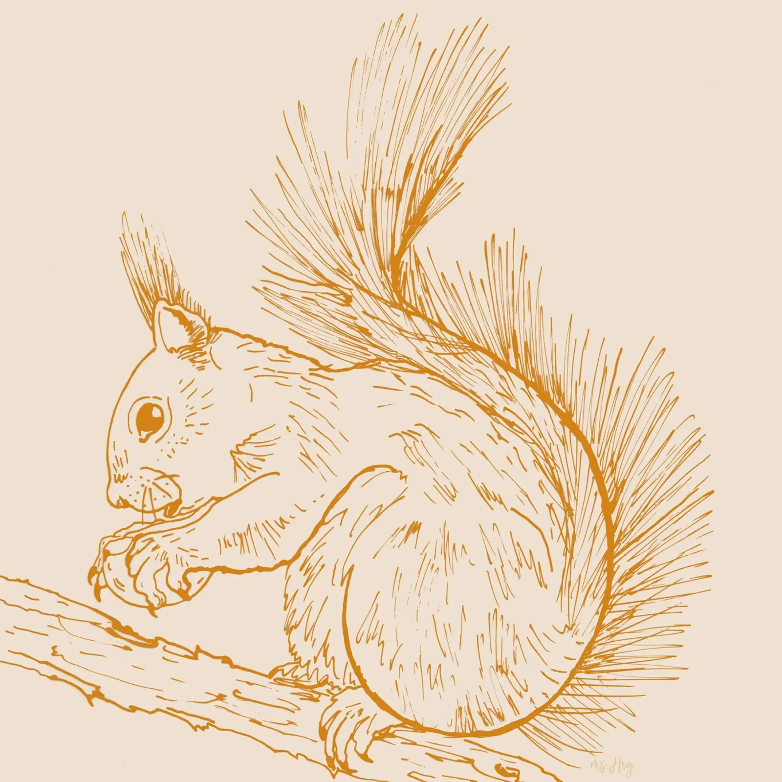 Squirrel with nut - ink illustration hahnemühle by ms.Hey! textildesign