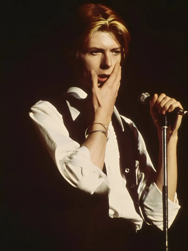 David Bowie alluminio dibond da The Poster Hub