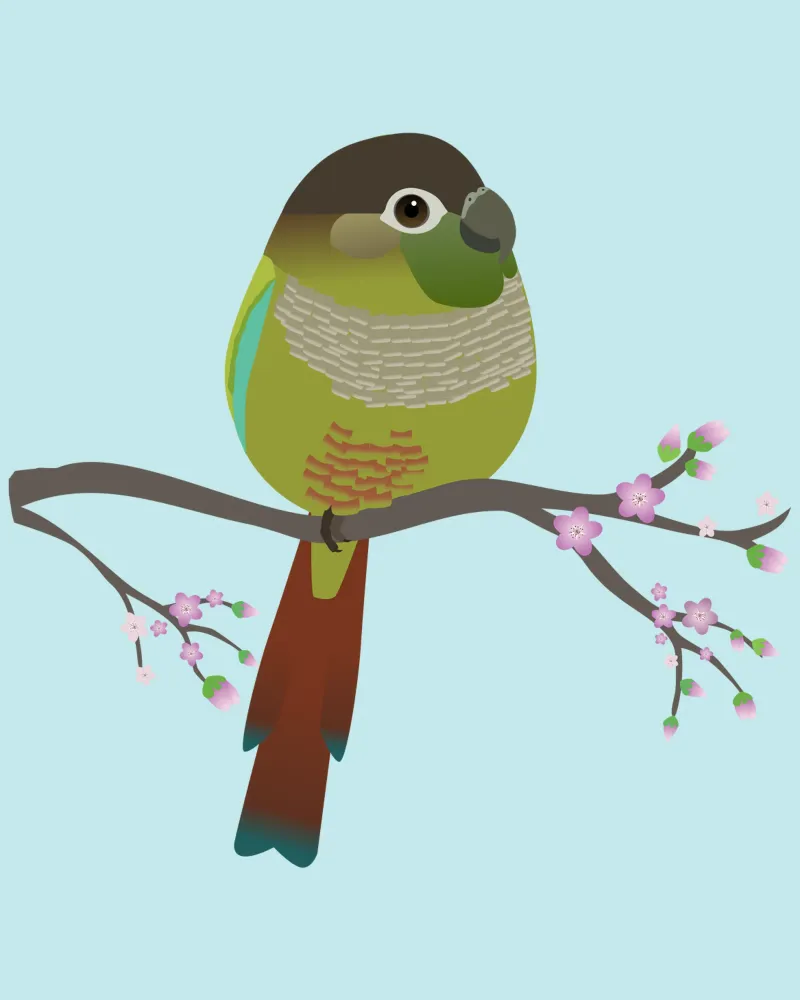 Conure à joues vertes en forme d'œuf hahnemühle de BwiseLizzy