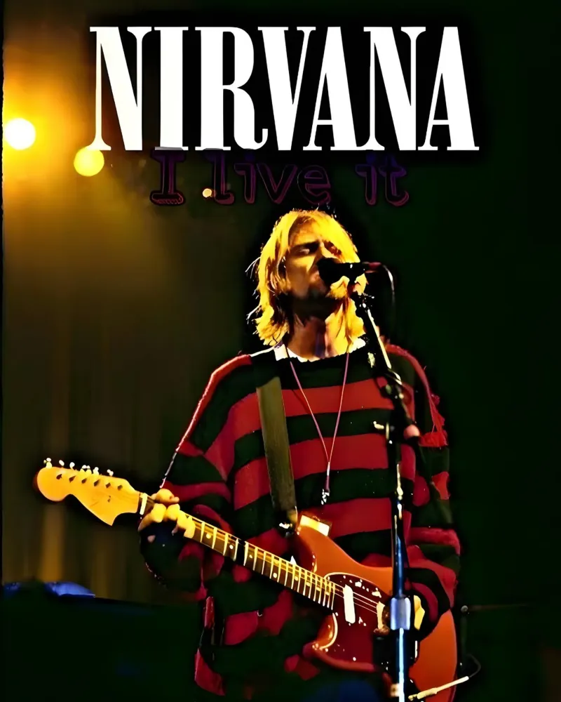 Nirvana plexiglass da vintage singer