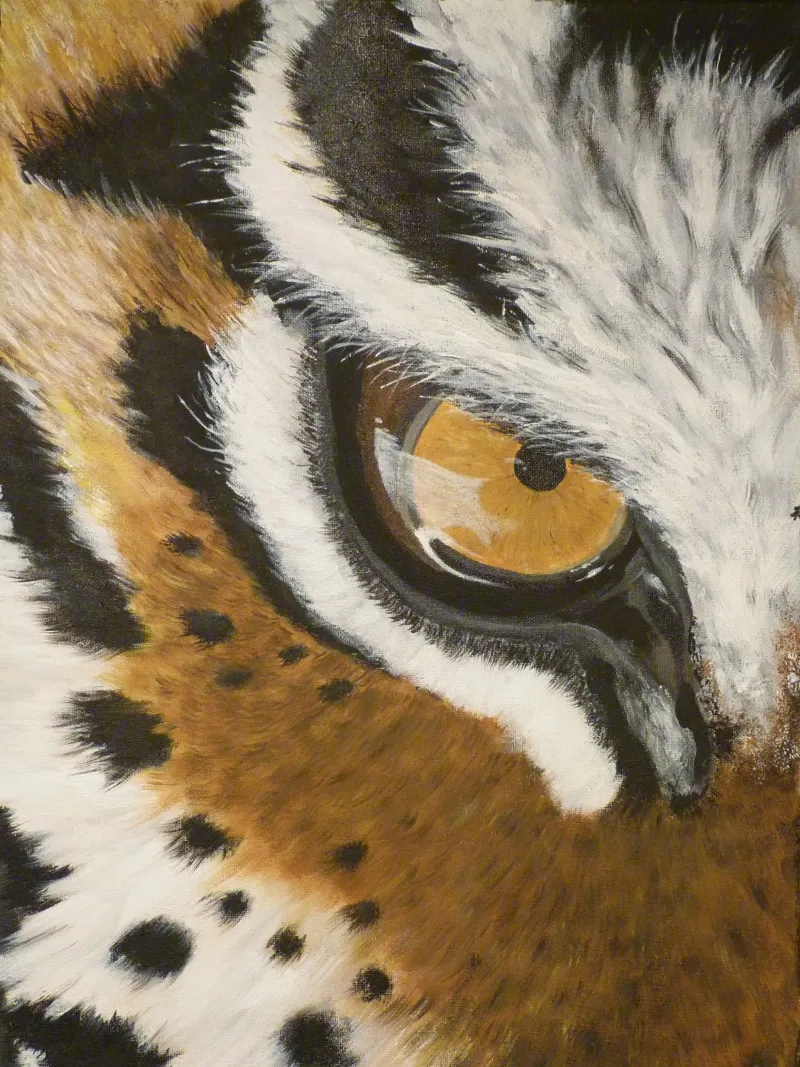 Eye of the Tiger pellicola backlit da LisaArtes