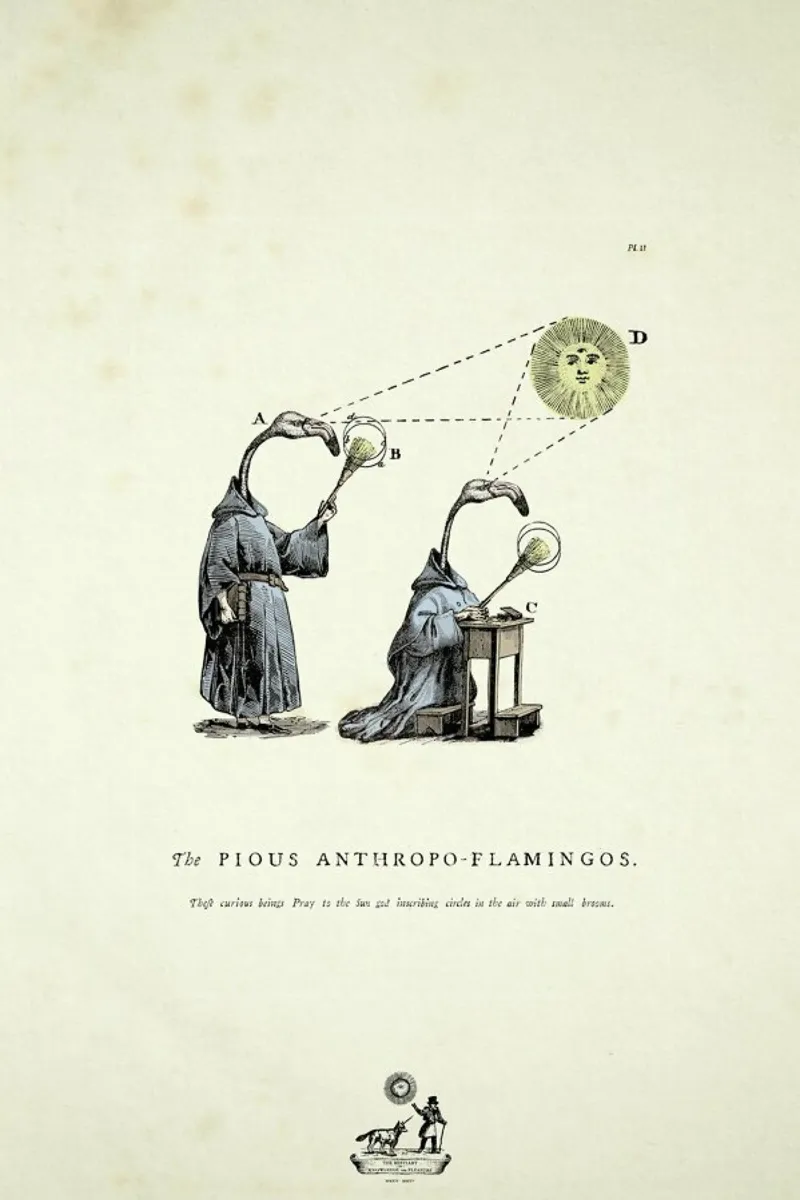 The pious anthropo-flamingos carta hahnemühle da Matteo Morelli