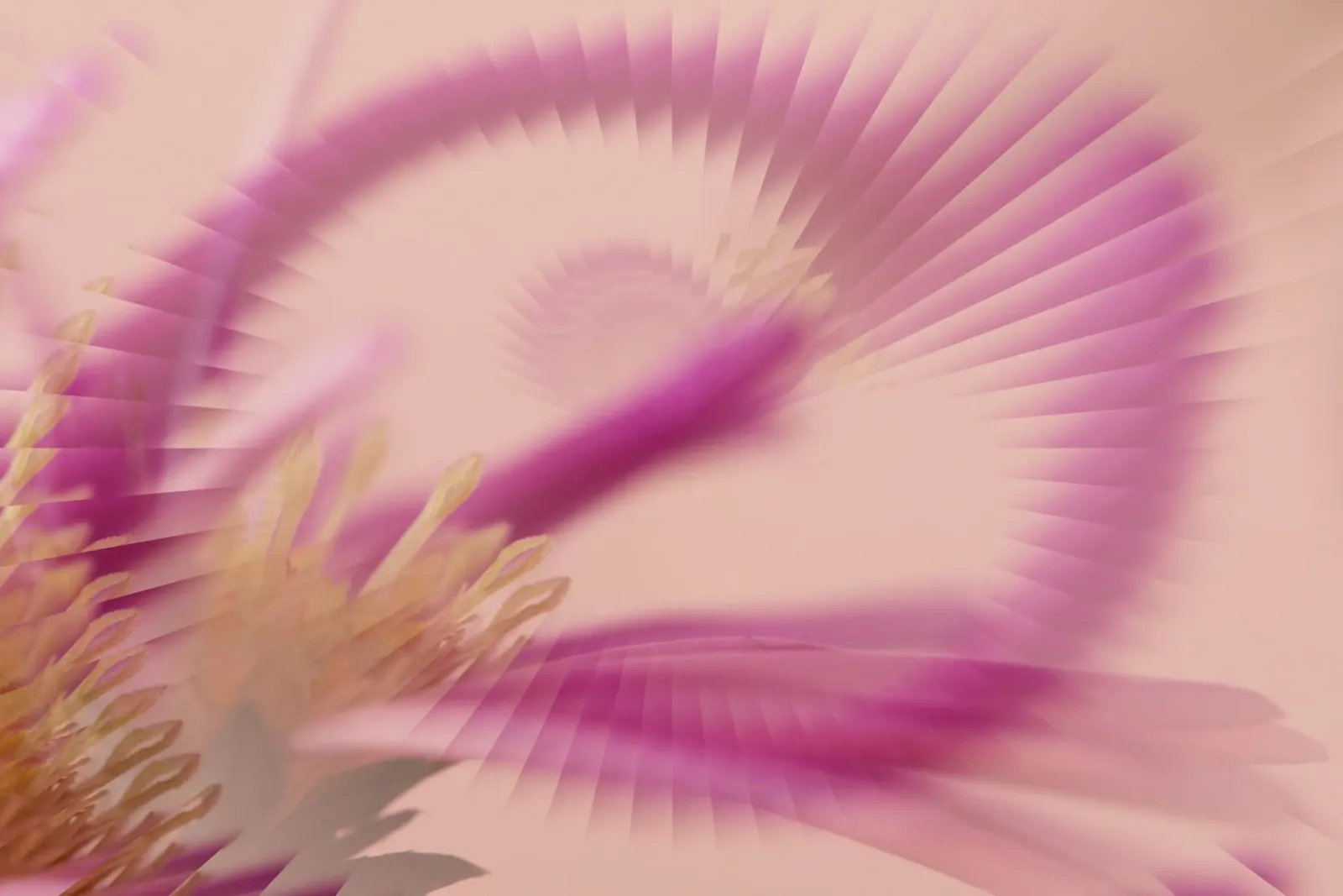 Abstract dynamic pattern in pink, purple and yellow. canvas by Something for you