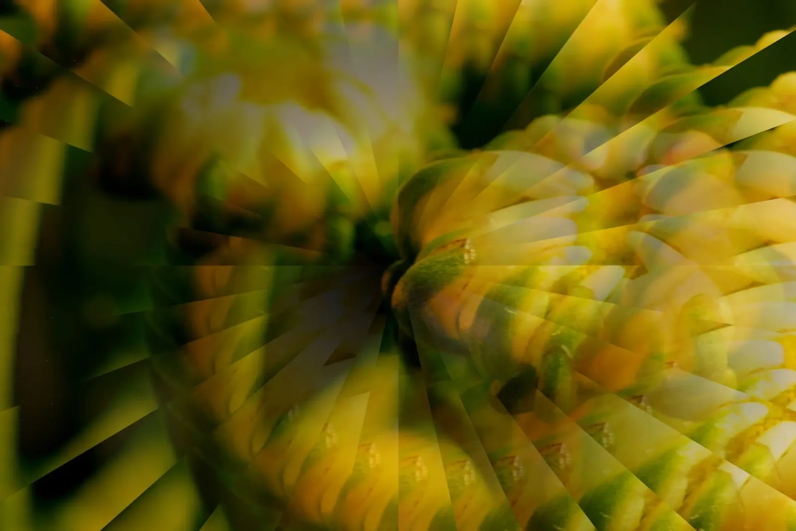 Abstract dynamic pattern in yellow, green and white. canvas by Something for you