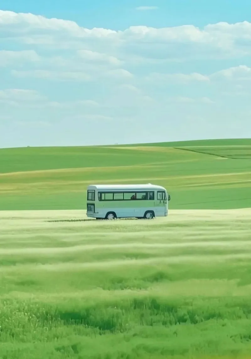 bus on field pellicola backlit da scoten