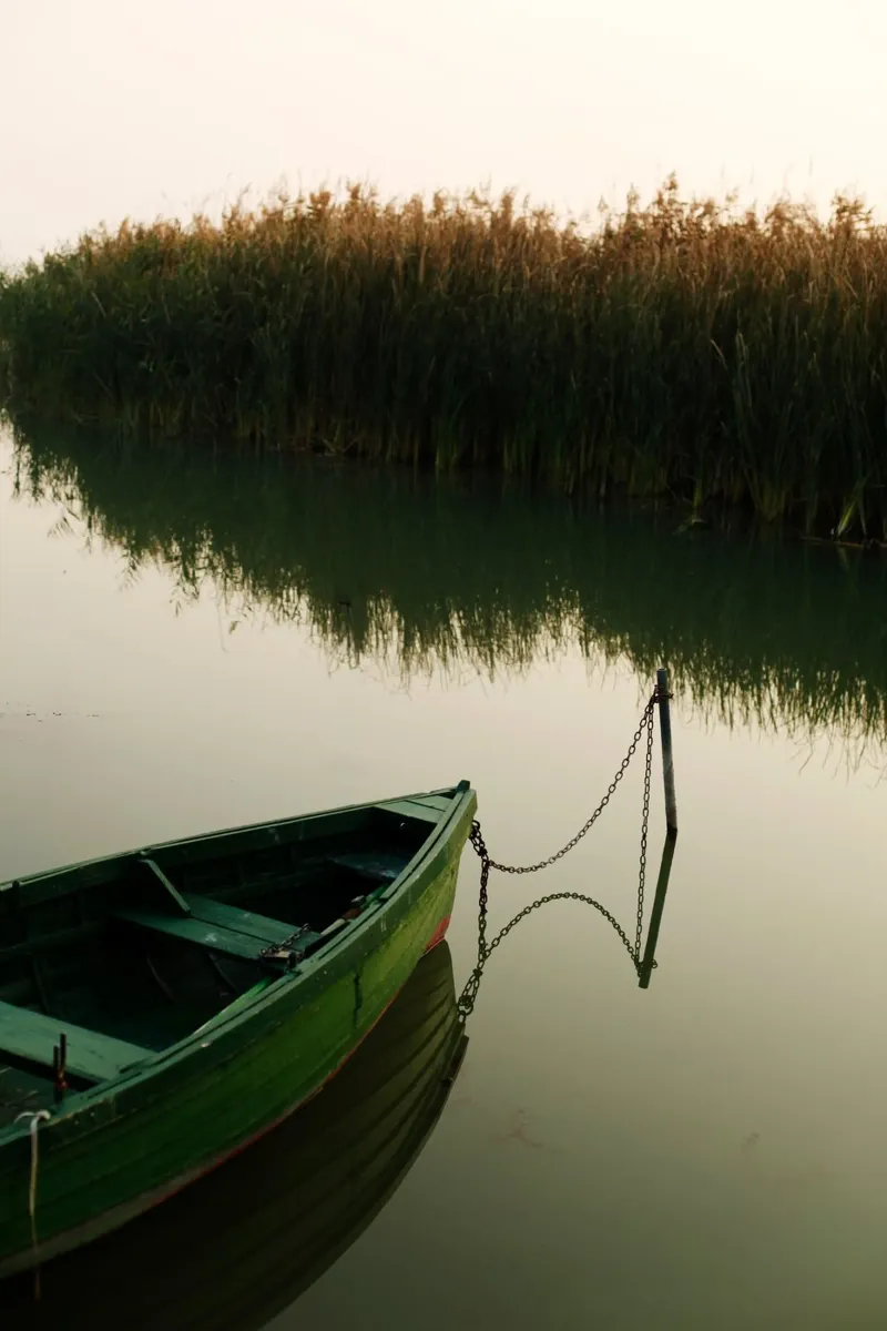 Riflesso sul lago Balaton, Ungheria pellicola backlit da Simon Koy